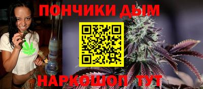 гидра Моздок