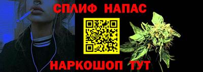 гидра Моздок